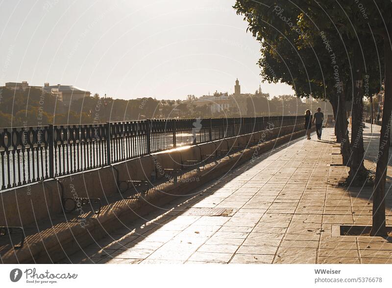 A young couple strolls along the river promenade hand in hand in the sun Sun Light evening light River Promenade Old town Couple Exterior shot Water