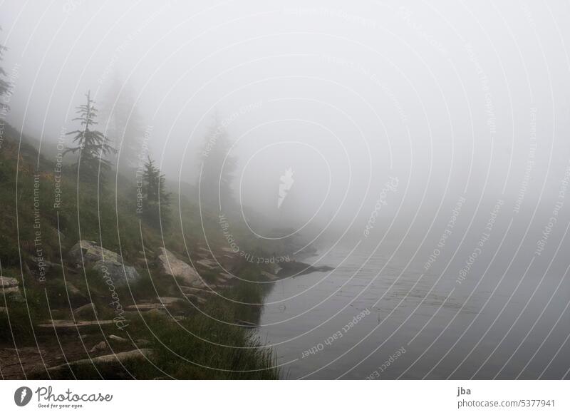 Al Laghett di Salei in fog Fog Lake somber hiking trail path Fir tree Water steam Switzerland Ticino foggy off stones Nature Mountain Hiking Landscape