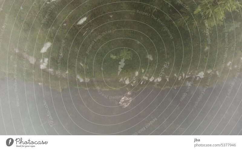 Lake shore from above Fog bank coast path off Stone stones Fir tree Landscape Nature Beach Water coastline Freedom pretty drone photo DJI Bird's-eye view