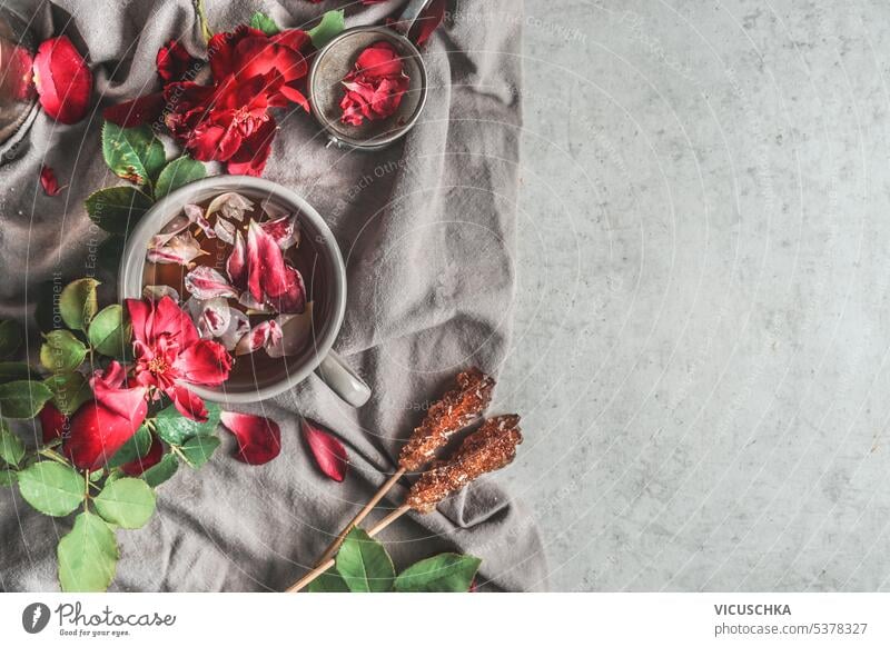 Healthy summer roses tea in cup with red roses petals, top view. Copy space healthy copy space blossom fragrance mug floral beverage herbal leaf pink drink