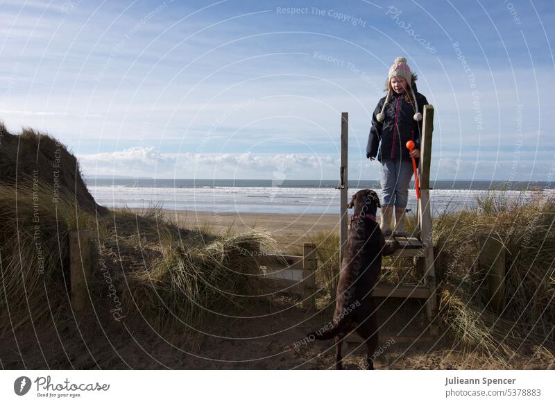 Girl and dog at the beach girl labrador brown dog young girl step steps ocean sea windy blustery cold ball toss Dog Labrador Animal Pet Exterior shot Nature