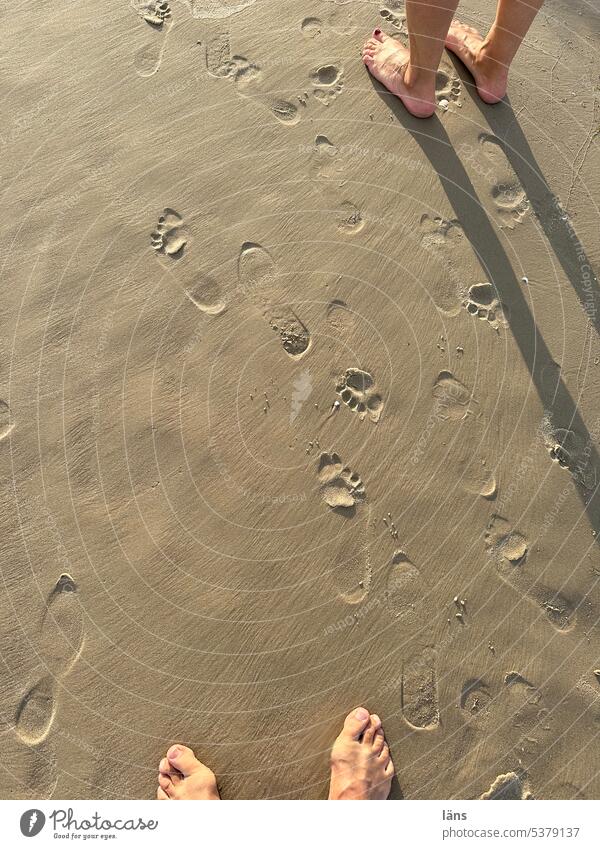 Traces in the sand Beach Suras feet Sand Vacation & Travel Summer vacation Tourism Sandy beach Barefoot Usedom Ocean Relaxation Footprints in the sand