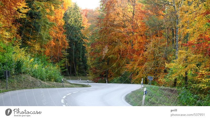 roadside autumn scenery Nature Landscape Autumn Tree Bushes Leaf Forest Street Brown Yellow Green Peaceful Rural Germany Hohenlohe sunny Orange panorama