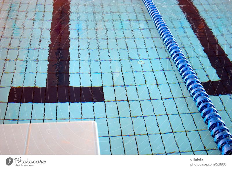 piscina Swimming pool sports swimming the olympic games blue water to swim Swimming & Bathing