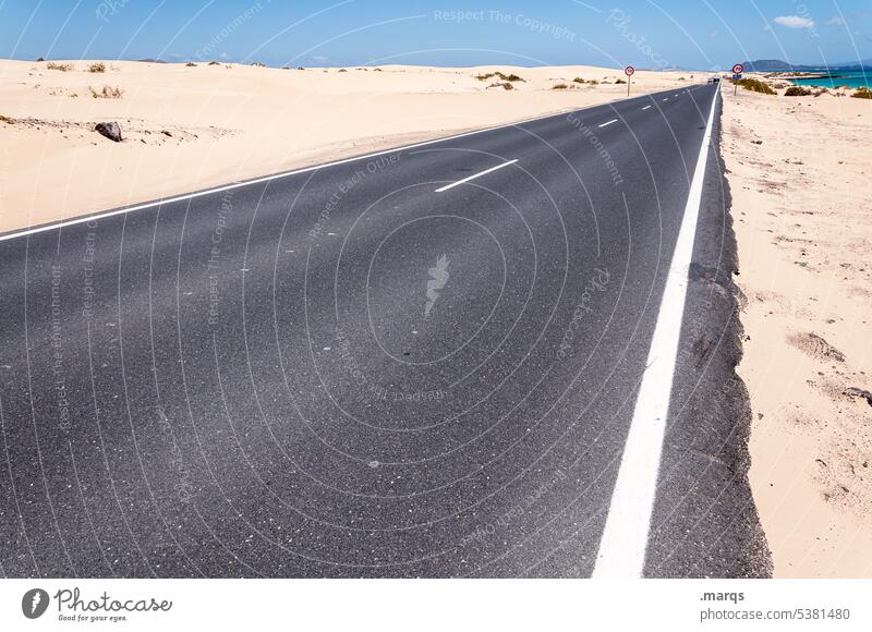 Road Runner Target Relaxation Street Transport Desert Cloudless sky Summer Vacation & Travel Driving Nature Future Beautiful weather Sand Freedom Far-off places