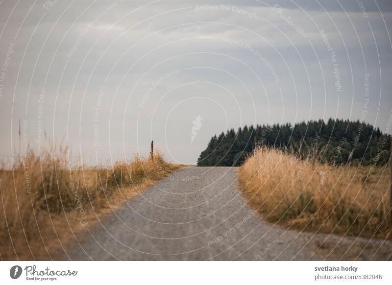 field path field up forest dry grass Field fields Agriculture Sky Nature Landscape off the beaten track Blue sky Summer acre Margin of a field panorama Village