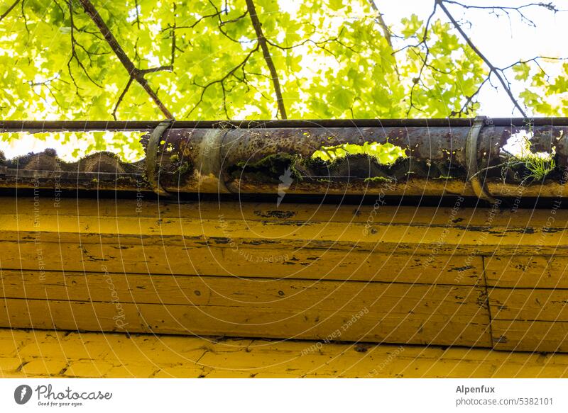 Transience | Lost Land Love II Rain gutter Rust Metal Colour photo Broken Roof Decline Destruction Exterior shot Derelict Change Ravages of time Old lost places