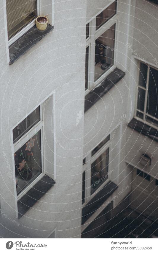 White house facade of an apartment building in a narrow, dreary backyard Backyard Narrow Gloomy Architecture Building Apartment Building rented apartment