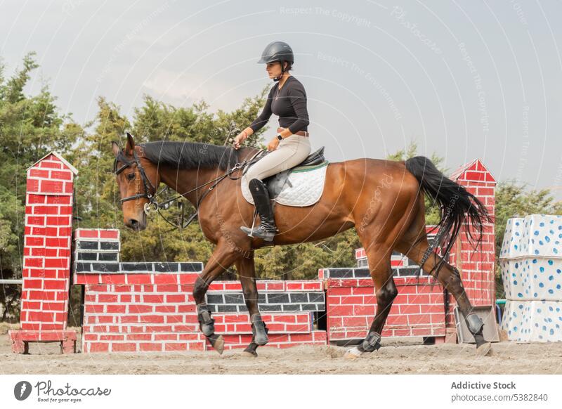 Young woman riding horse on paddock chestnut equestrian horseback ride training sport countryside thoughtful rider cloudy ranch bridle equine animal sky young