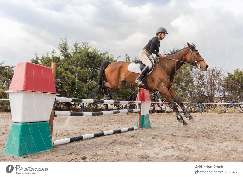 Young woman riding horse on paddock chestnut equestrian horseback ride training barrier sport countryside rider cloudy ranch bridle equine animal sky young