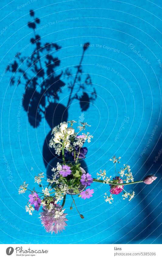 Chives and wildflowers in a vase wild flowers Vase tablecloth Geranium Girsch Blossoming Summer Colour photo