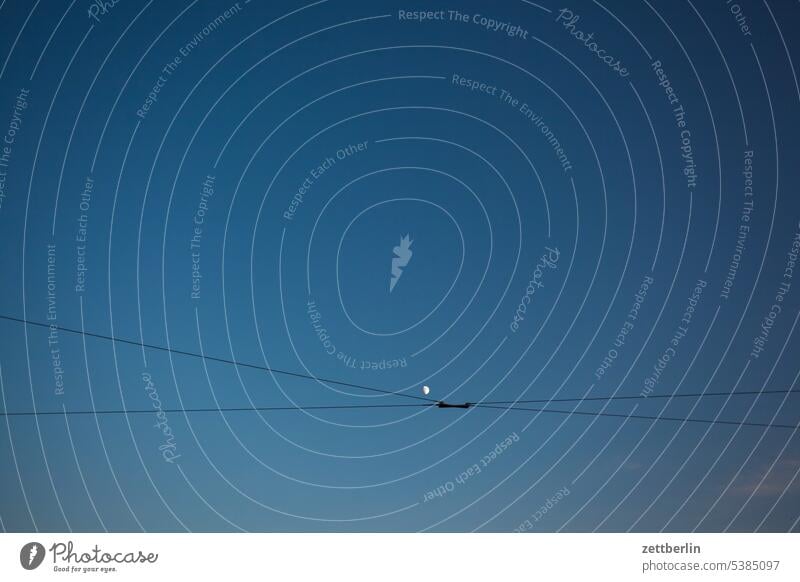 Moon behind wire Architecture Dessau voyage Saxony-Anhalt Town City holiday Tourism vacation Half moon Sky evening sky Twilight Evening evening mood Wire