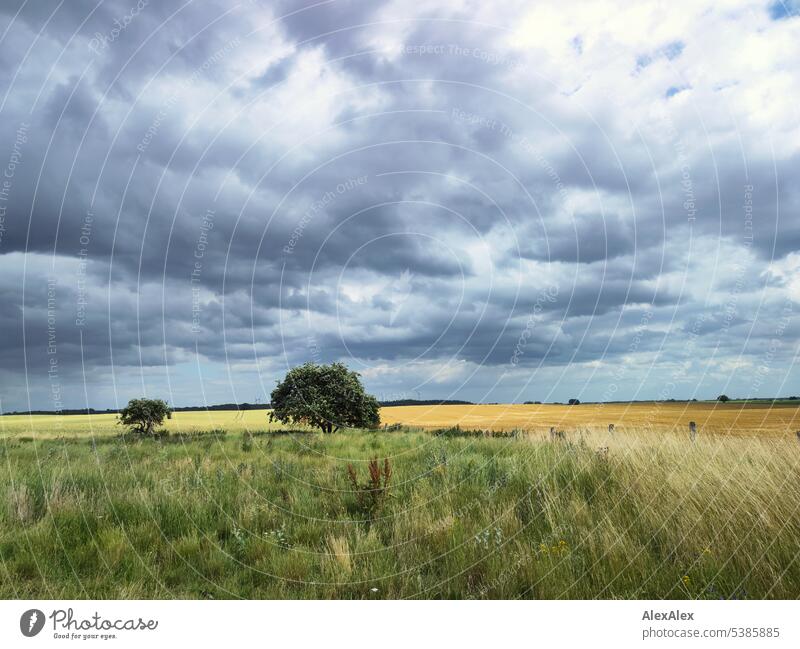 Dramatic clouds over a field and meadow landscape with tree and forest on the horizon. Clouds dramatic clouds heavy clouds Landscape Northern Germany Meadow