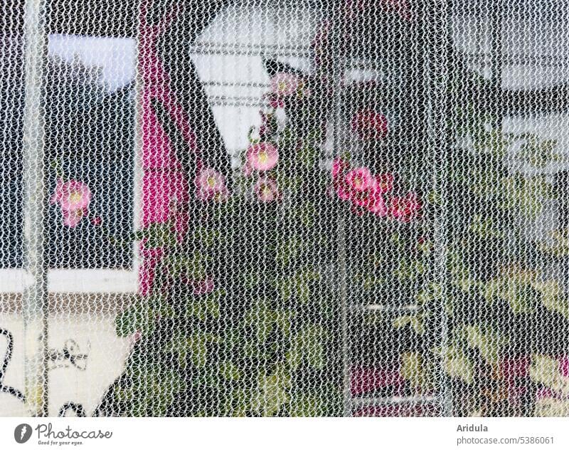 Hollyhocks, ladder and graffiti facade covered by scaffolding with net Construction site Scaffold Facade Graffiti pink Pink Red Ladder Net Protection