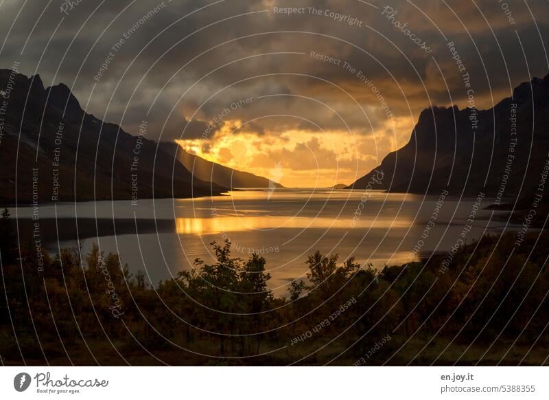 Fjord in Norway Tromsø Sunset Scandinavia Vacation & Travel Travel photography Europe Landscape Water Clouds evening light Lofotes Nature Maritime Ocean