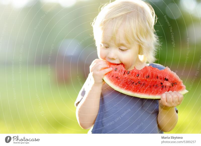 Cute caucasian little boy with blond hairs eating fresh watermelon outdoors child food enjoy people summer nature girl white fruit happy garden green kid red