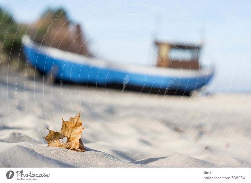 flotsam and jetsam Beach Leaf ship Fishing boat Autumn Baltic Sea fishing