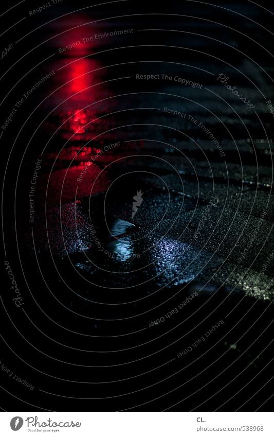 Through the night Bad weather Rain Town Transport Traffic infrastructure Motoring Street Lanes & trails Traffic light Dark Reflection Pavement Ground