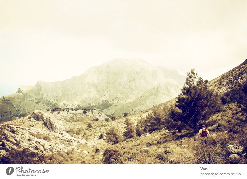 Three colors: Yellow Vacation & Travel Mountain Hiking Young man Youth (Young adults) Nature Landscape Plant Sky Clouds Fog Tree Grass Bushes Rock Alps Peak