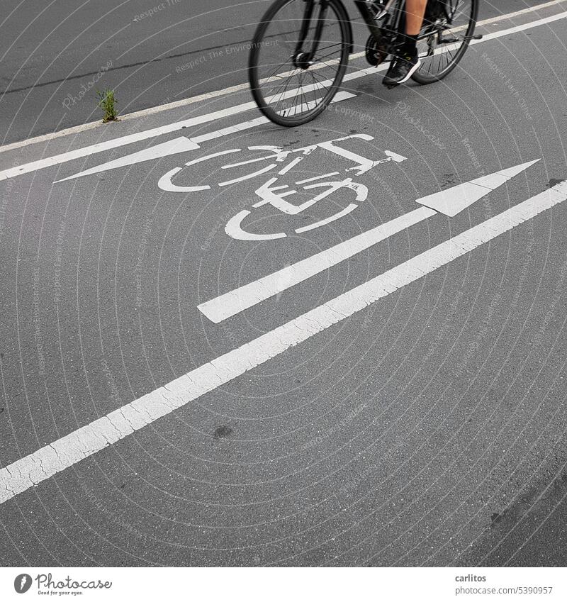 Worn | no tread on the tires Bicycle Cycling Means of transport Transport Street Road traffic Mobility Lanes & trails Traffic infrastructure Cycle path