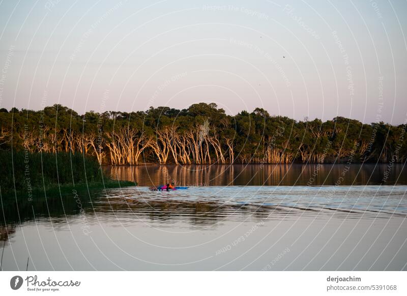 Enjoying and swimming in Lake Tea Tree - Lake Ainsworth NSW - Nature Sky Lakeside Exterior shot Day Deserted Landscape Relaxation Beautiful weather Idyll Calm