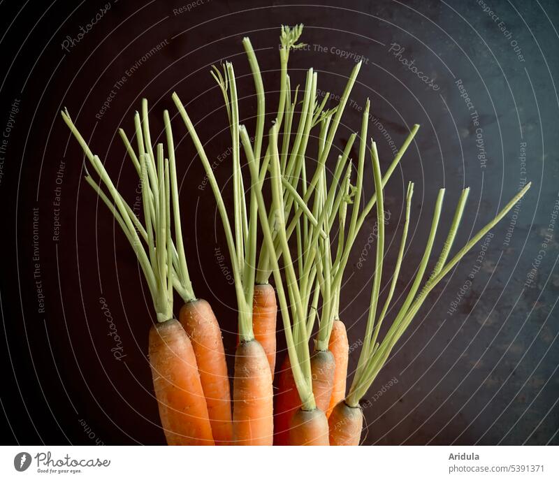 Carrots with green in front of black wall carrots Vegetable Fresh Organic produce Food Healthy Eating Food photograph Orange Vegetarian diet Vegan diet vitamins