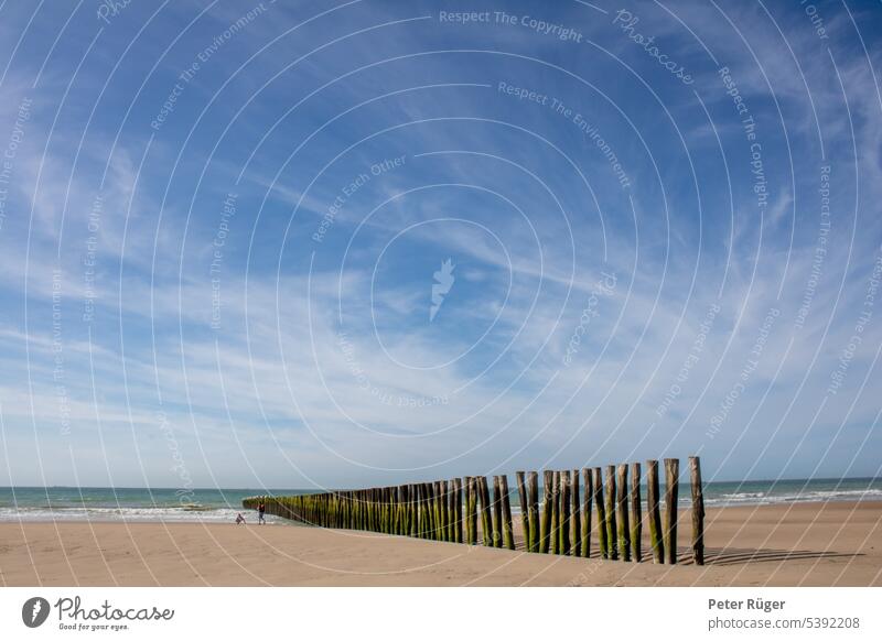 Breakwater on the beach of Sangatte, Nord pas de Calais, Cote d'opal. Blue sky, strollers in summer. sangatte Beach North Sea Cote d'Opal breakwater Summer Sky