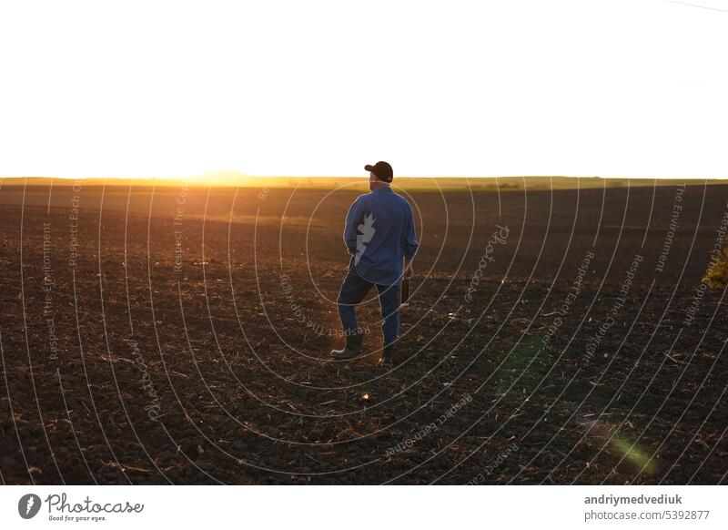 Agribusiness. Back view of male farmer walking through on cultivated plowed field at sunset in spring. Owner agricultural farm is checking and examining farmland before sowing agriculture crops.