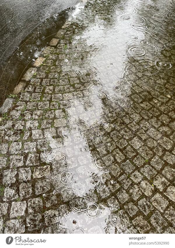 Rain puddle on the sidewalk Puddle Rain bubbles Precipitation Reflection Water Wet Exterior shot Street Bad weather Rainy weather Deserted Damp Colour photo