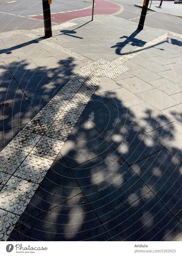 Sunny street intersection with tree shade Crossroads Street Asphalt cycle path Shadow Shade of a tree Footpath Traffic light path marking Guidance