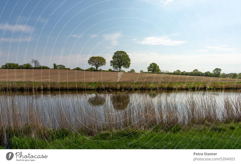 The three trees Trees on the horizon Sky Landscape Nature Clouds Horizon Field reflection Reflection in the water Beautiful weather Blue Agriculture River