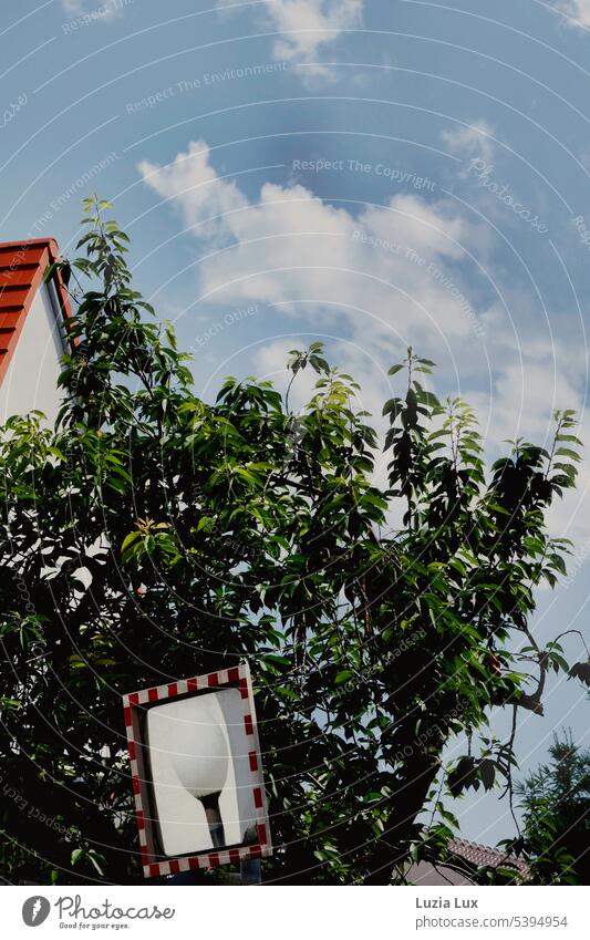 Sloping roof, blue sky with clouds, green branches, street lamp in mirror Day Manmade structures Facade Blue sky Bright Roof urban lines Town Building