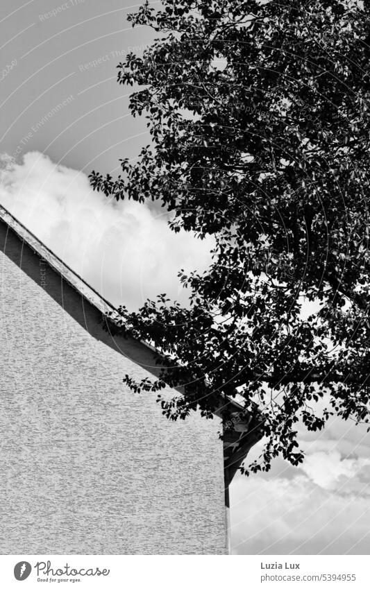 Sloping roof, sky with clouds, branches in black and white Day Manmade structures Facade Bright Roof urban lines Town Building House (Residential Structure) Old