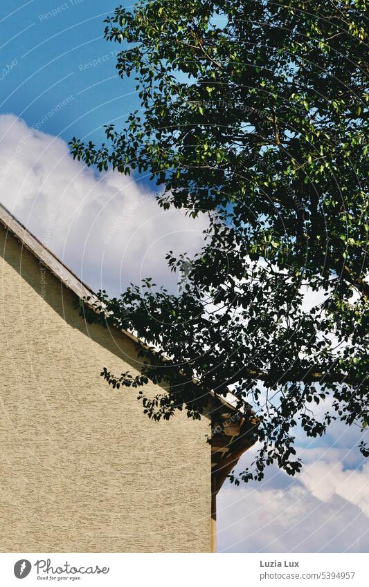 Sloping roof, blue sky with clouds, green branches Day Manmade structures Facade Blue sky Bright Roof urban lines Town Building House (Residential Structure)