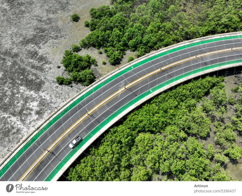 Aerial drone view curve road with green mangrove forest and mudflat beach. Mangroves capture CO2. Natural carbon sink. Blue carbon ecosystems. Mangroves absorb carbon dioxide. Net zero emissions.