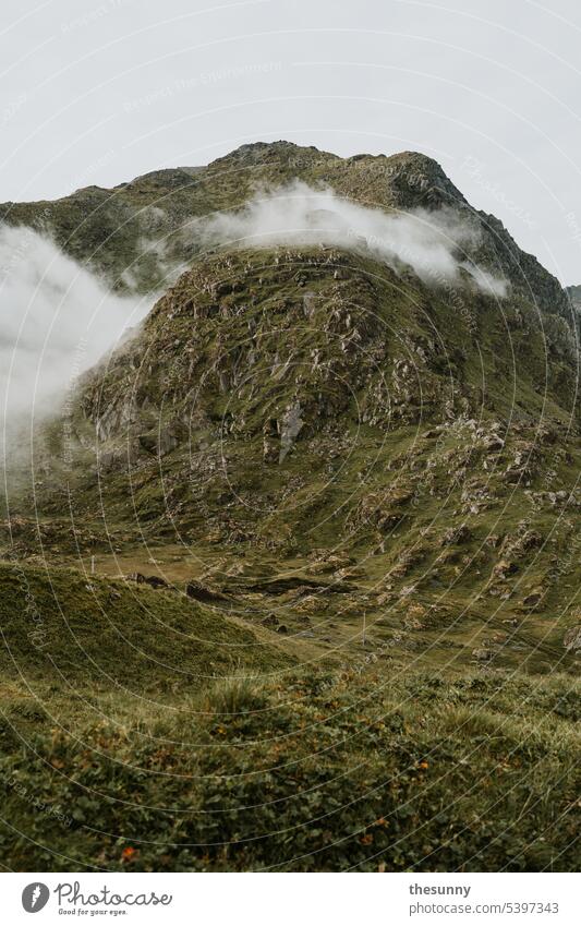 Fog in the mountain Shroud of fog Misty atmosphere foggy foggy mountains studded with fog Mountain Slope mountain landscape Nature Love of nature Moss