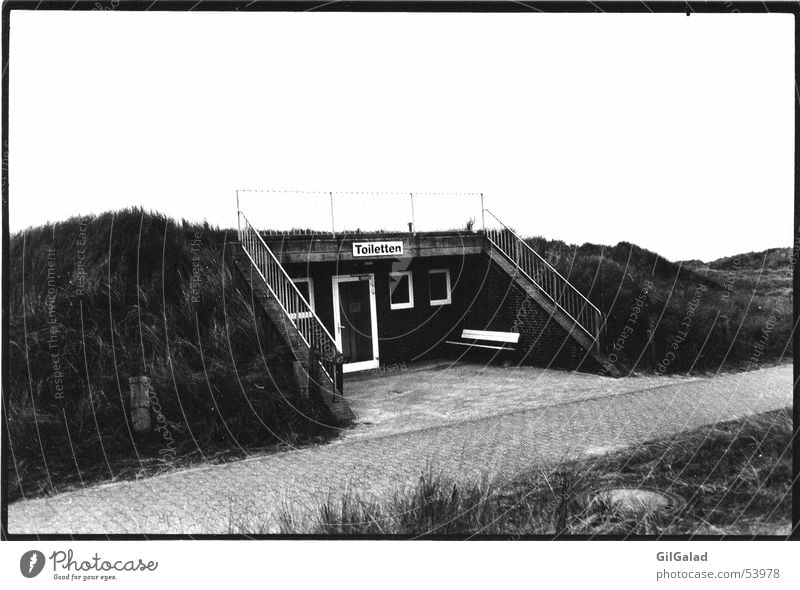 lonely toilets Loneliness Black White Grass Toilet Landscape Beach dune Black & white photo Stairs Lanes & trails