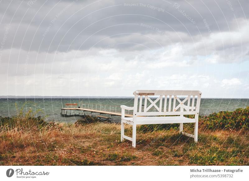 Wooden bench in the dunes Bench Baltic Sea Baltic beach Beach coast Denmark Langeland Tranekær Footbridge Bridge Ocean Waves Sky Clouds Vantage point panorama