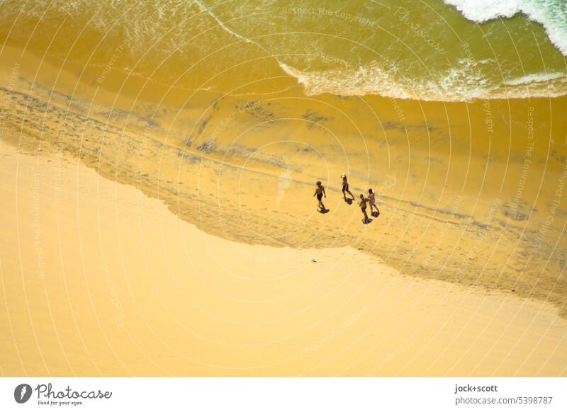 Beach summer sunshine walking pace To go for a walk Relaxation Bird's-eye view Background picture Pacific beach Australia Gold Coast Neutral Background