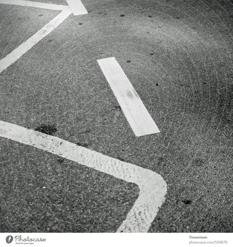 So, this...? Street Signs and labeling Esthetic Simple Gray White Asphalt Line Black & white photo Patch Exterior shot Deserted Day