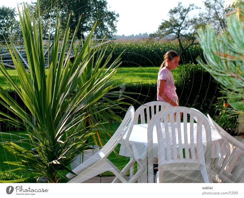 moments Palm tree Summer Autumn Indian Summer Child Woman Maize field Chair Photographic technology Nature Garden Snapshot