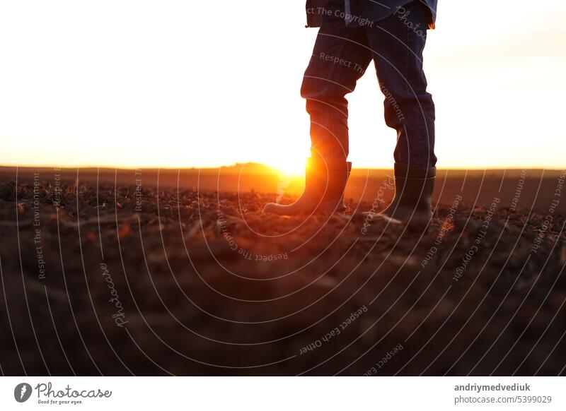 Agriculture. Cropped shot of view businessman farmer in rubber boots walks along plowed field. Agronomist checking and analyses fertile soil on sunrise. Agribusiness.