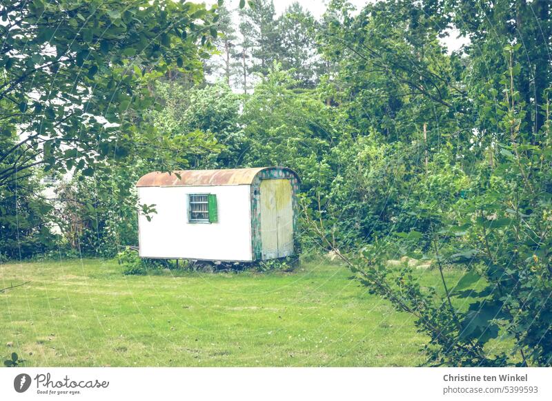 Tiny house in the green Site trailer Caravan tiny house Old barrel roof Painted worn-out Meadow Bushes individual dwell living in the green Window by oneself