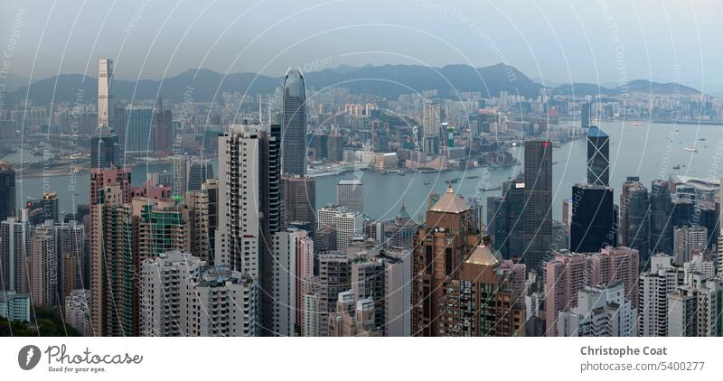 Panoramic view of Kowloon and Victoria Harbour Apartment Asia Business Finance and Industry Business Travel China - East Asia City Dusk Famous Place Harbor