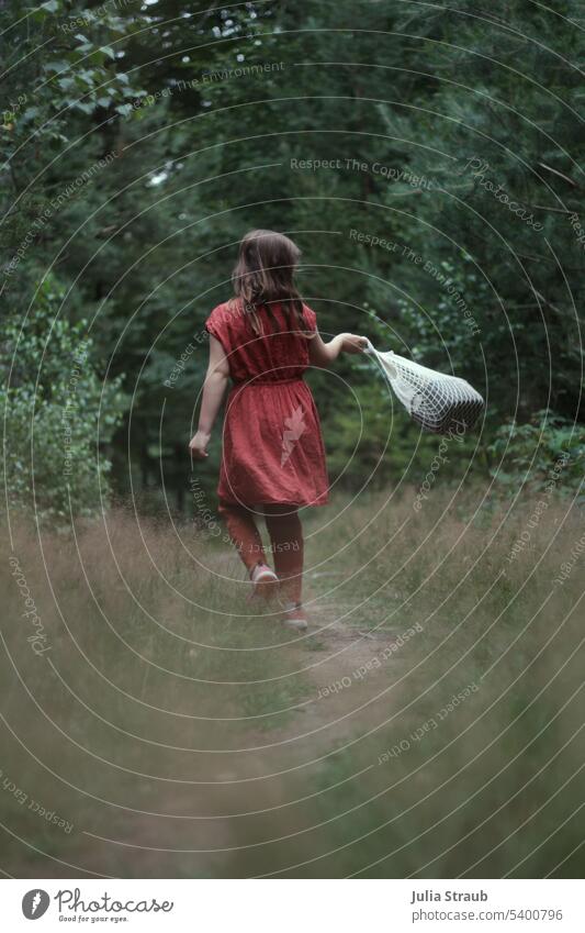 Picking berries in the forest Berries Forest Trail path Lanes & trails Summer Green trees Girl Walking stroll To go for a walk questing Bag mesh pocket Orange