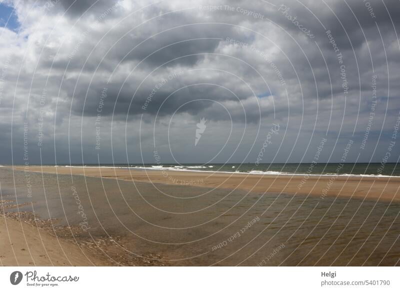 There'll be rain Beach Sky Clouds Raincloud Ocean North Sea North Sea coast Water Sand Dark clouds Waves Surf Deserted wide Weather Vacation & Travel Nature