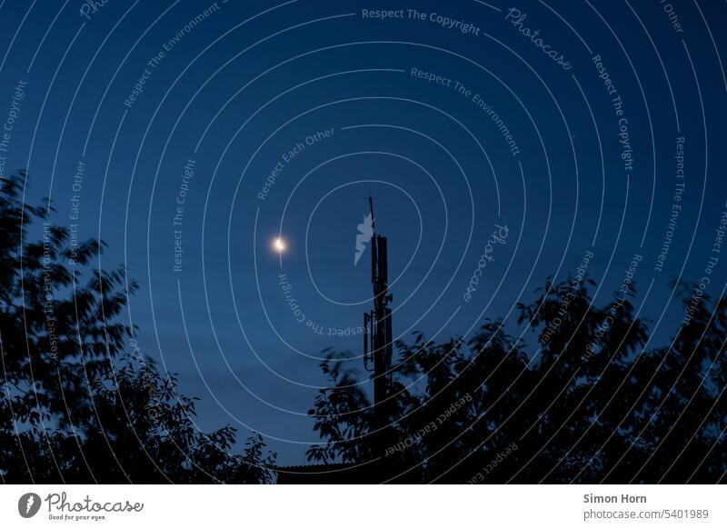 Moonlight over silhouette of trees and transmission tower Night Night mood Silhouette Night sky Dark Broadcasting tower Outskirts Light (Natural Phenomenon)