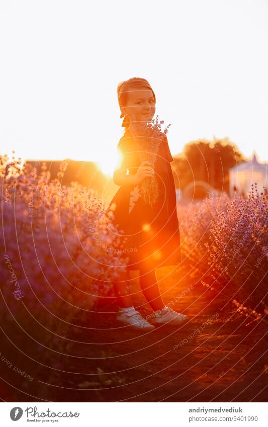 Portrait of a smiling cute girl with a bouquet of lavender flowers in her hands. A child is walking in a field of lavender on sunset. Kid in black dress is having fun on nature on summer holiday.