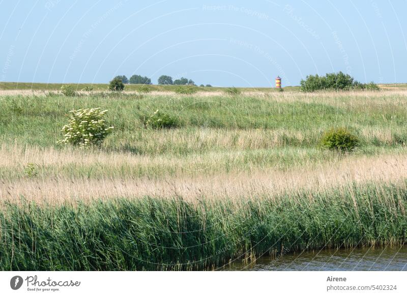 Orientation guide for the farsighted Lighthouse Tower Day Blue Water Sky Tourist Attraction Deserted Beautiful weather Landscape coast Nature Vacation & Travel