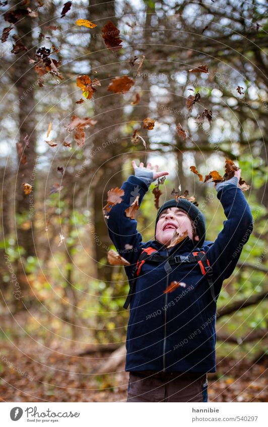 leaf rush Human being Child Boy (child) Infancy 1 3 - 8 years Nature Autumn Leaf Forest Jacket Cap Movement Playing Throw Brash Happiness Happy Blue Brown